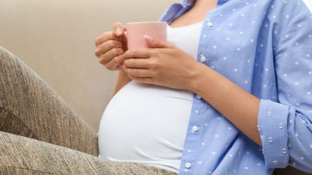 Grávidas Podem Tomar Chá de Boldo