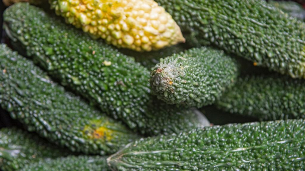 Melão-de-são-caetano: Para Que Serve e Como Consumir Melão-de-são-caetano