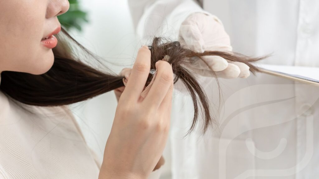 Cabelo Afinando com o Tempo? Entenda o Porquê e Como Prevenir Cabelo Afinando com o Tempo? Entenda o Porquê e Como Prevenir